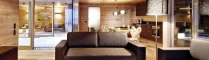 DDU large gamme de produits pour le bois
